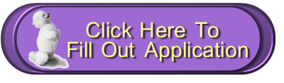 application button
